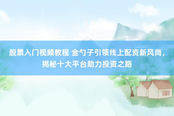 股票入门视频教程 金勺子引领线上配资新风尚，揭秘十大平台助力投资之路