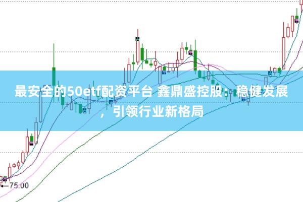 最安全的50etf配资平台 鑫鼎盛控股：稳健发展，引领行业新格局