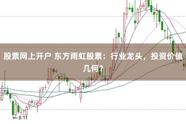 股票网上开户 东方雨虹股票：行业龙头，投资价值几何？