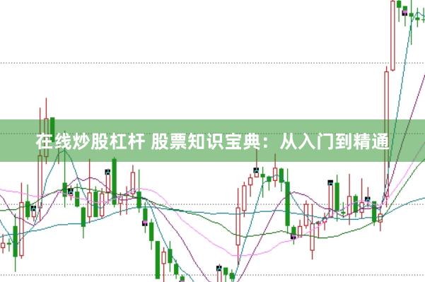在线炒股杠杆 股票知识宝典：从入门到精通