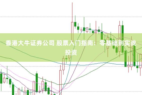 香港大牛证券公司 股票入门指南：零基础到实战投资