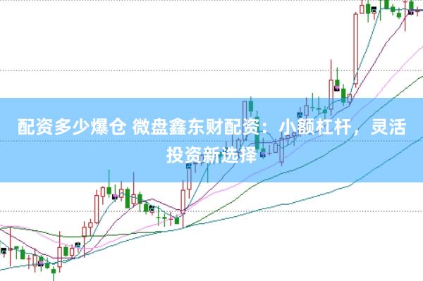 配资多少爆仓 微盘鑫东财配资：小额杠杆，灵活投资新选择