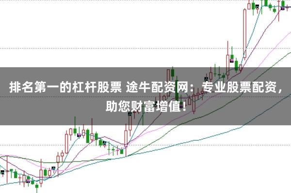 排名第一的杠杆股票 途牛配资网：专业股票配资，助您财富增值！