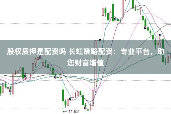股权质押是配资吗 长虹策略配资：专业平台，助您财富增值