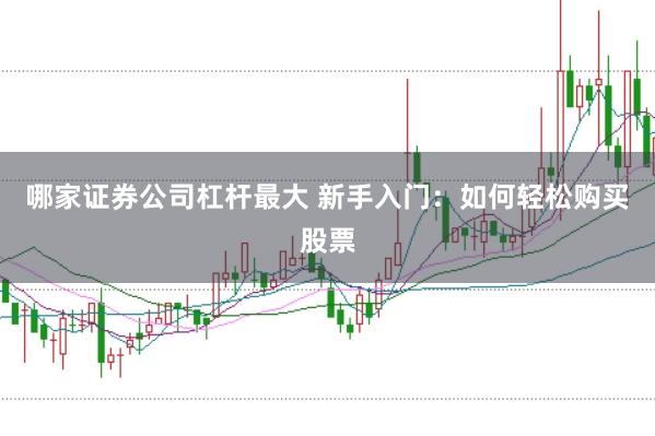 哪家证券公司杠杆最大 新手入门：如何轻松购买股票