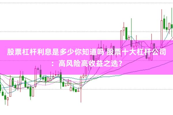 股票杠杆利息是多少你知道吗 股票十大杠杆公司：高风险高收益之选？