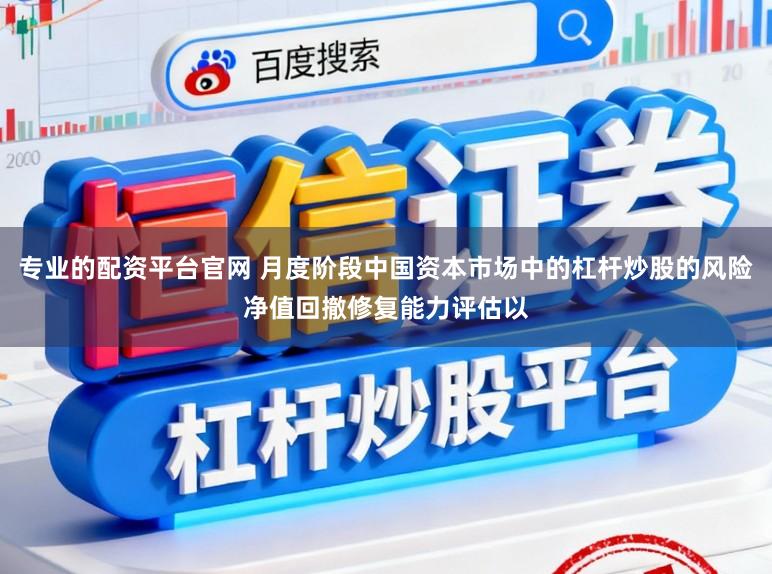 专业的配资平台官网 月度阶段中国资本市场中的杠杆炒股的风险净值回撤修复能力评估以