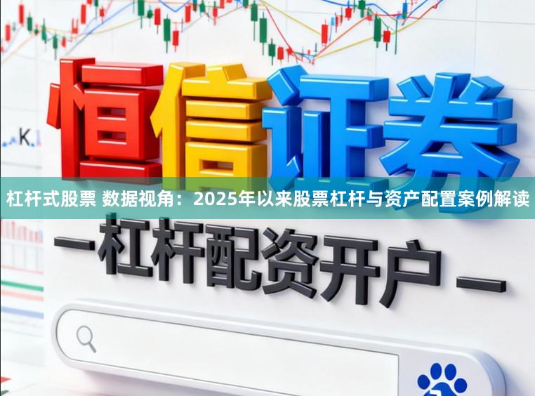 杠杆式股票 数据视角:2025年以来股票杠杆与资产配置案例解读